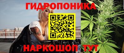 spice Канаш